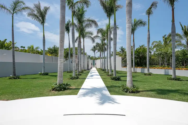 The lawn and rows of palms inside the villa's walls