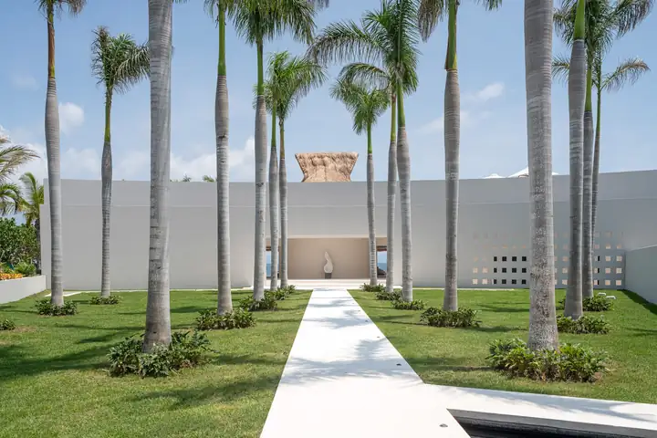 The palm avenue leading to the villa's entrance